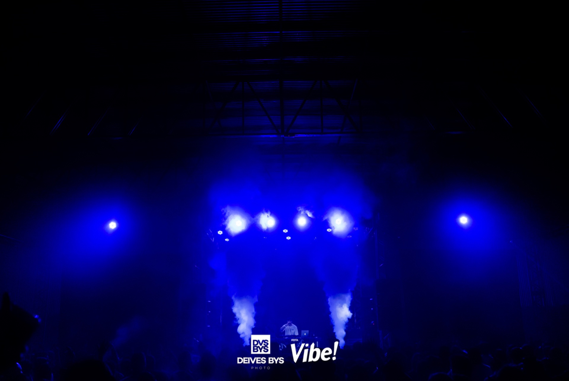 Festa Vibe