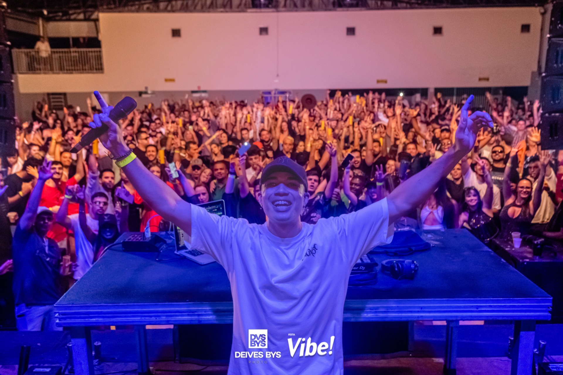 Festa Vibe