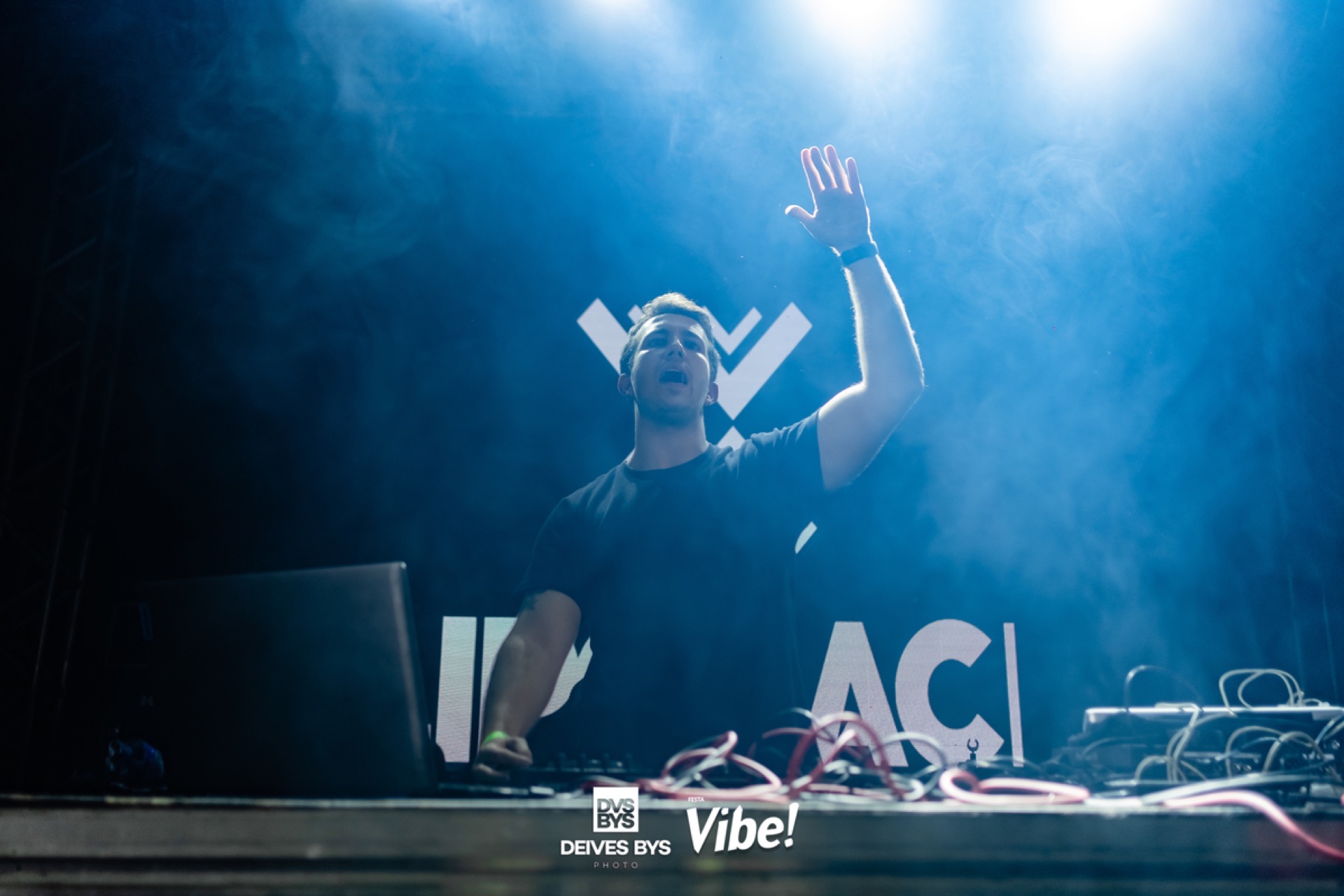 Festa Vibe