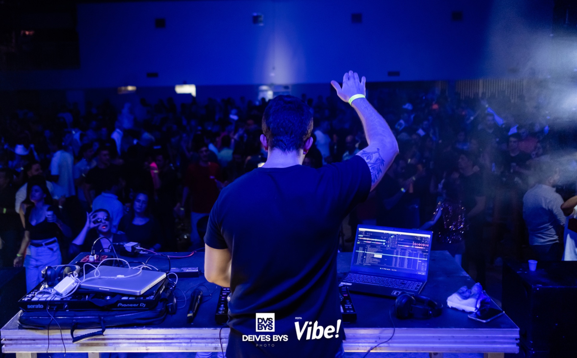 Festa Vibe