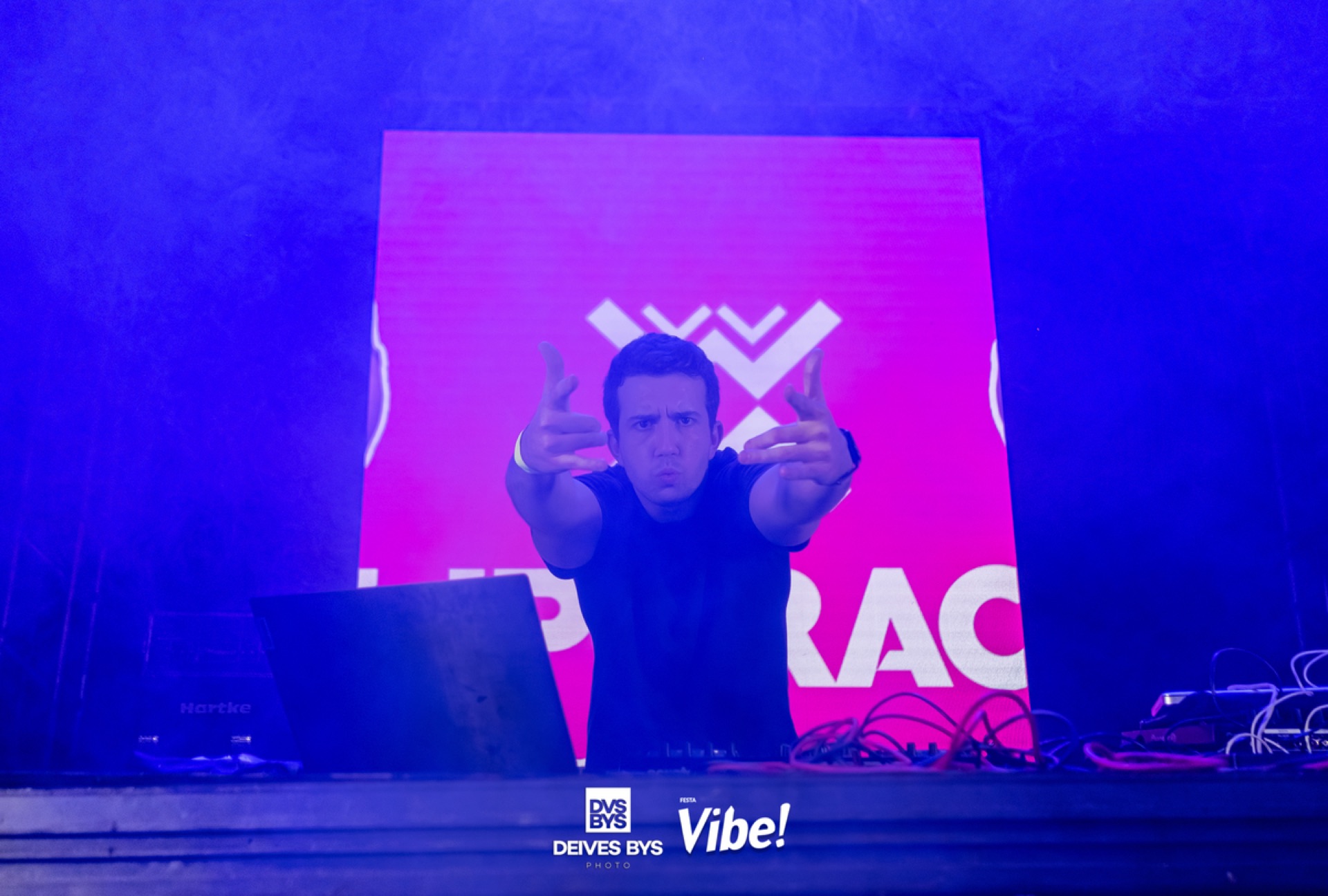 Festa Vibe