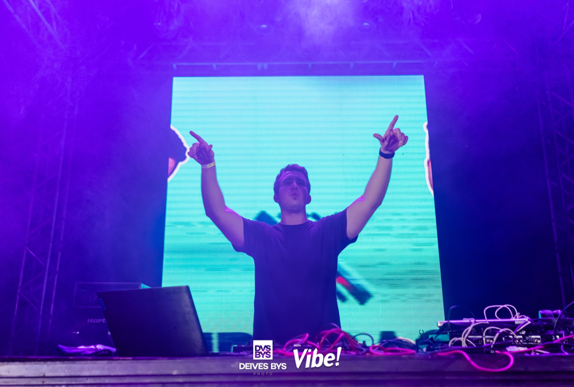 Festa Vibe